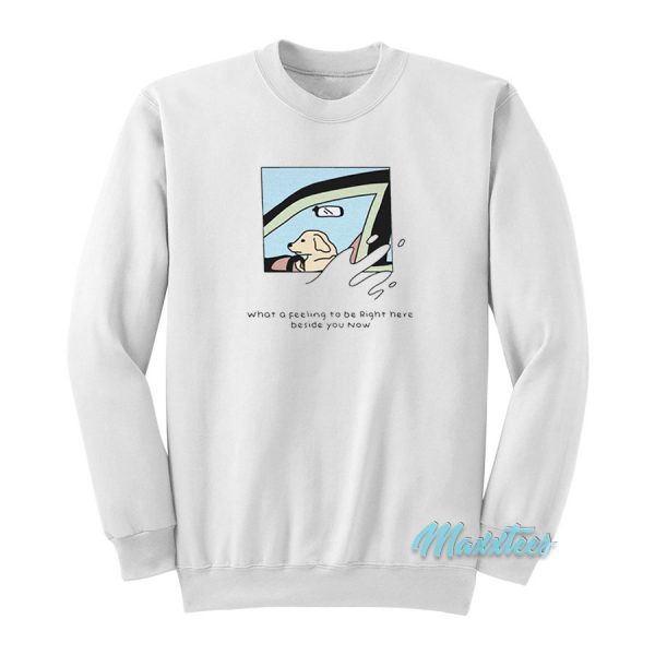 Dog Driver What a Feeling To Be Right Here Sweatshirt