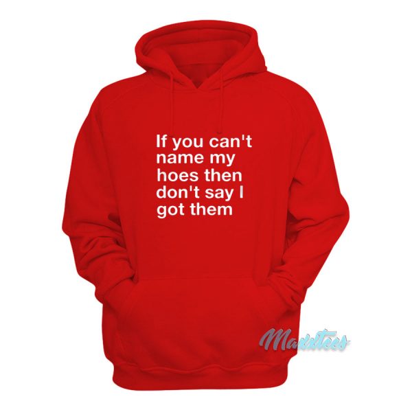 If You Can't Name My Hoes Hoodie
