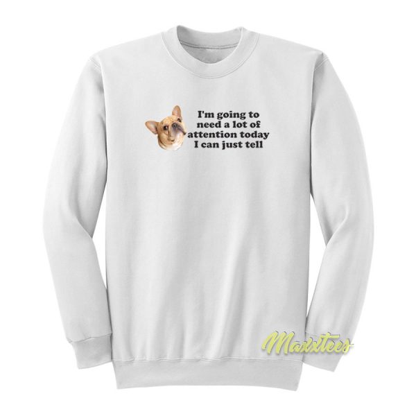 I'm Going To Need A Lot Of Attention Sweatshirt