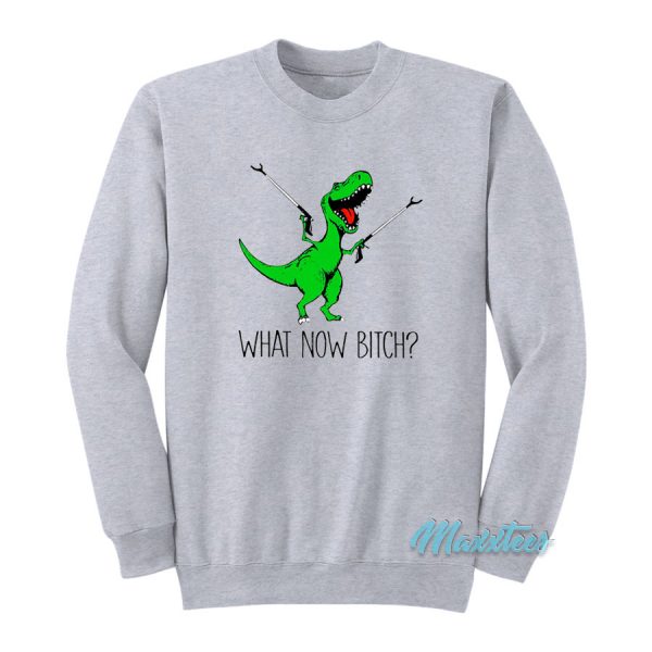 T-Rex Dinosaur What Now Bitch Sweatshirt