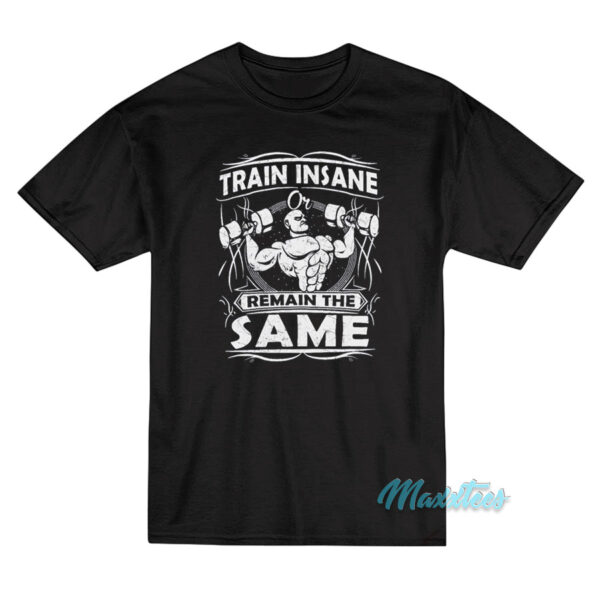 Train Insane Or Remain The Same T-Shirt