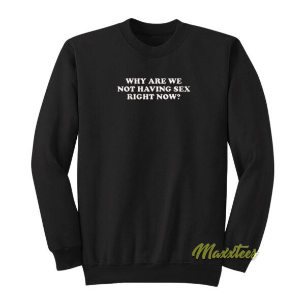Why Are We Not Having Sex Right Now Sweatshirt