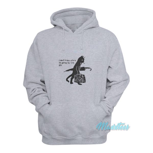 I Don't Know Where I'm Going But I'm Gay Hoodie