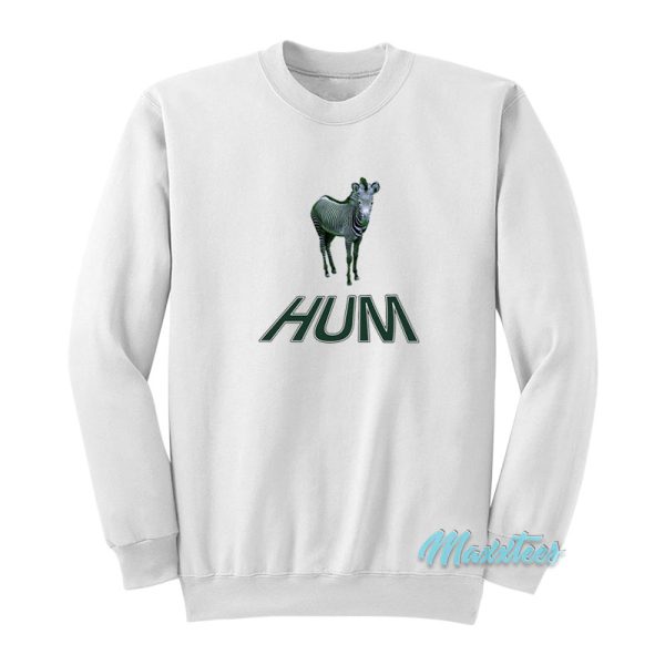 Hum Zebra You'd Prefer An Astronaut Sweatshirt