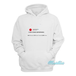 Waterparks I Cant Stand Waterparks Hoodie