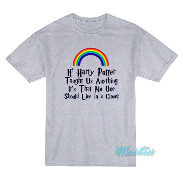 If Harry Potter Taught Us Anything Rainbow T-Shirt