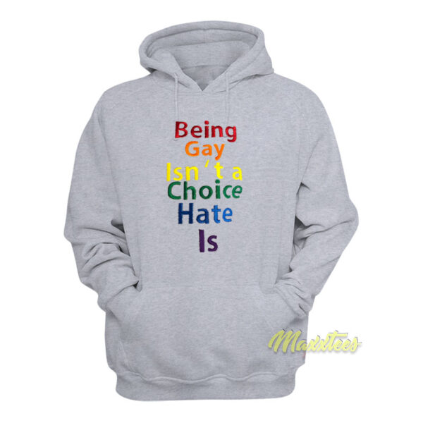 Being Gay Isn't A Choice Hate Is Hoodie