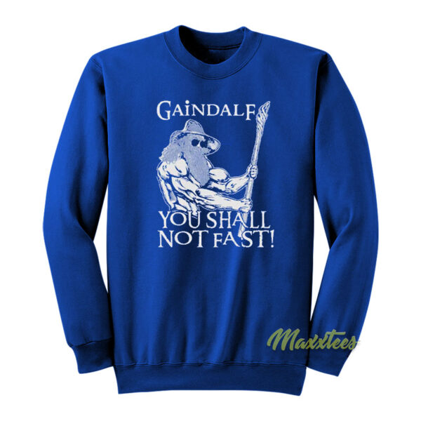 Gaindalf You Shall Not Fast Sweatshirt